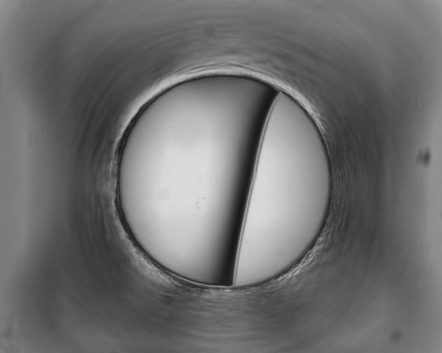 X0000101201526200806270817