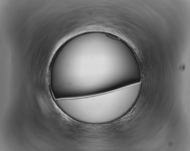 X0000101201527200806270817
