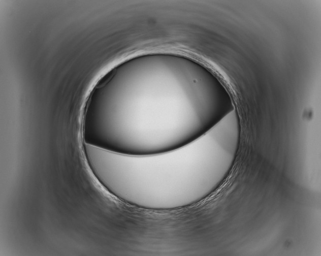 X0000101201528200806270817