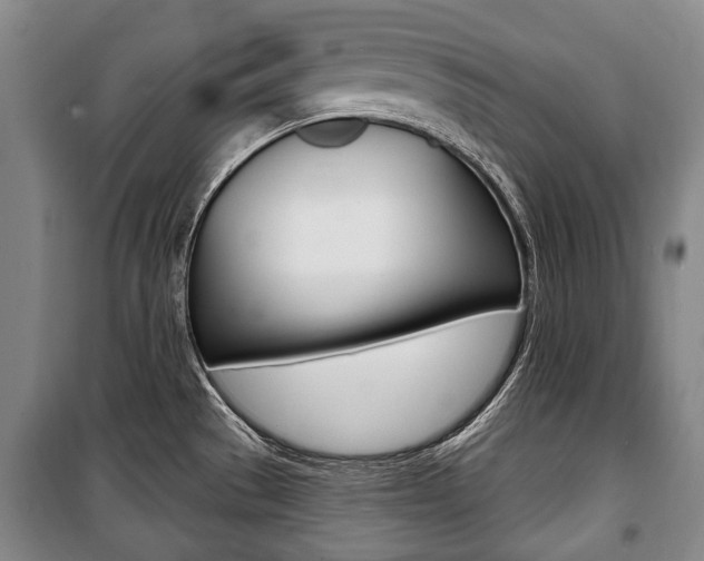 X0000101201529200806270817