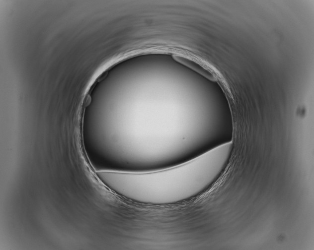 X0000101201530200806270817