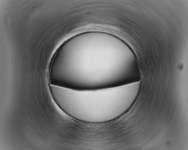 X0000101201531200806270817