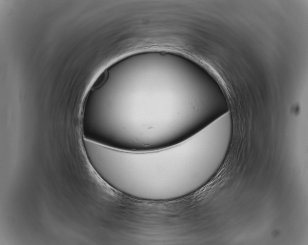 X0000101201532200806270817