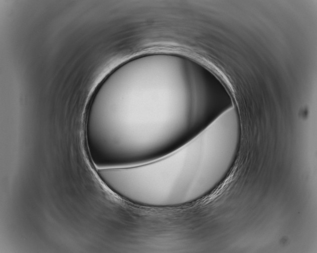 X0000101201533200806270817