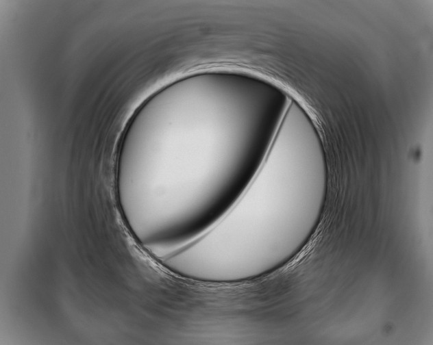X0000101201534200806270818