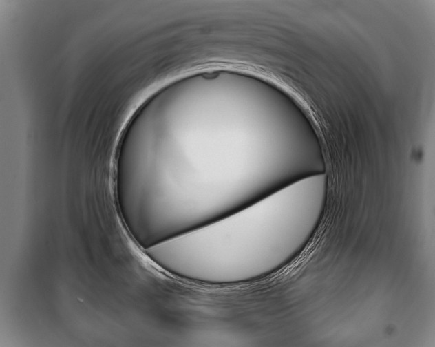 X0000101201535200806270818