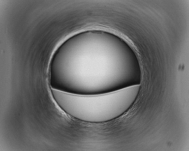 X0000101201536200806270818