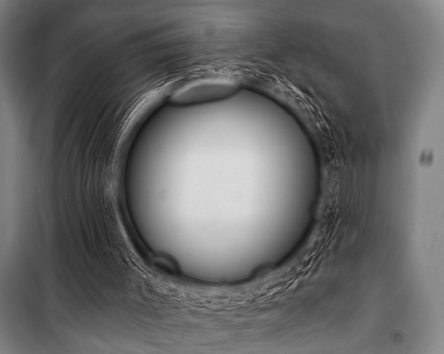 X0000101200003200806271402