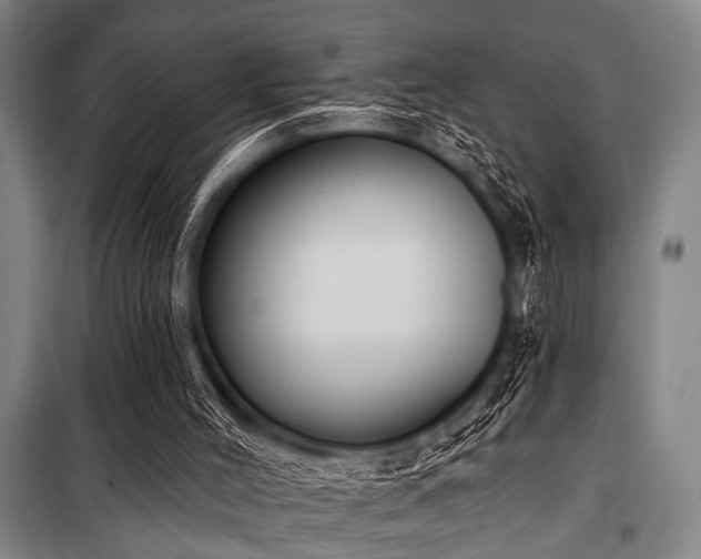 X0000101200004200806271402