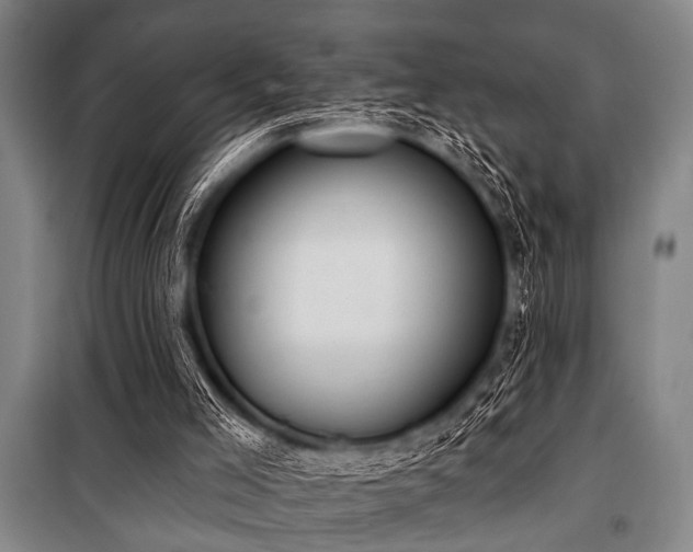 X0000101200005200806271402