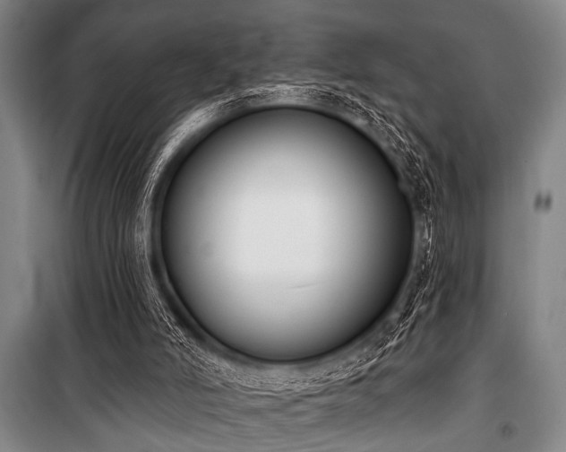 X0000101200006200806271402