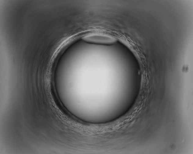 X0000101200007200806271402