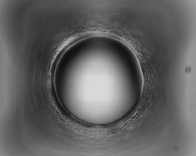 X0000101200008200806271402
