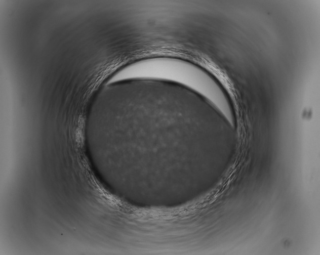 X0000101200009200806271402