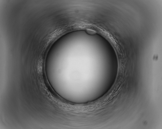 X0000101200010200806271402