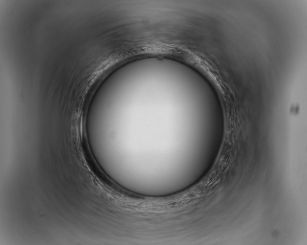 X0000101200011200806271402