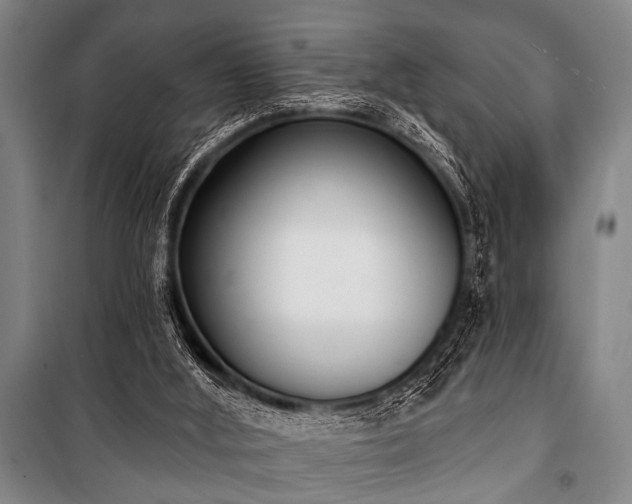X0000101200012200806271401