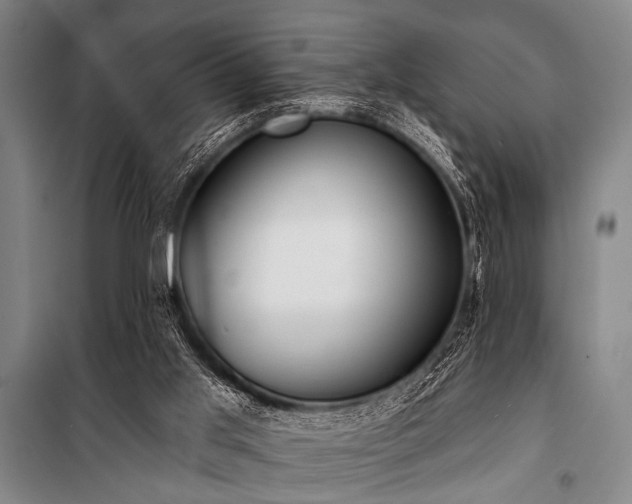 X0000101200013200806271401