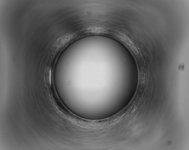 X0000101200014200806271401
