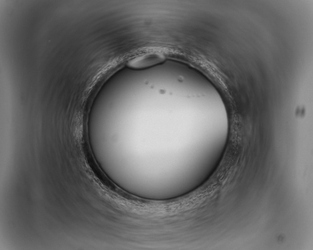 X0000101200015200806271401