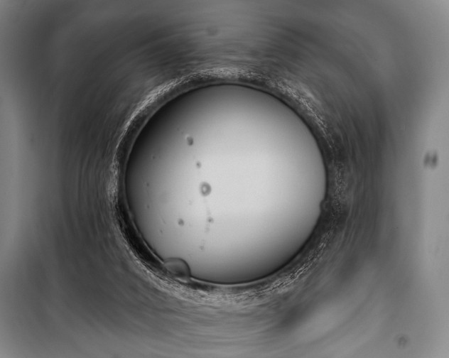 X0000101200016200806271401