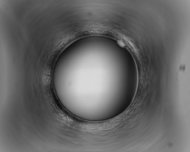 X0000101200017200806271401