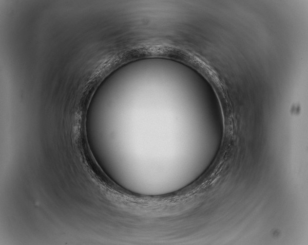 X0000101200018200806271401
