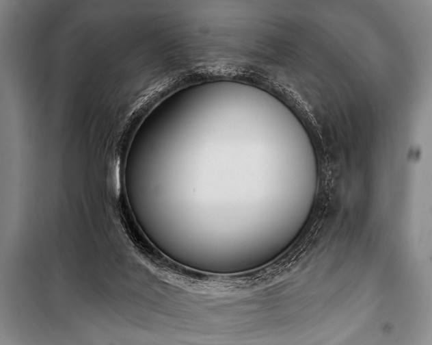 X0000101200020200806271401