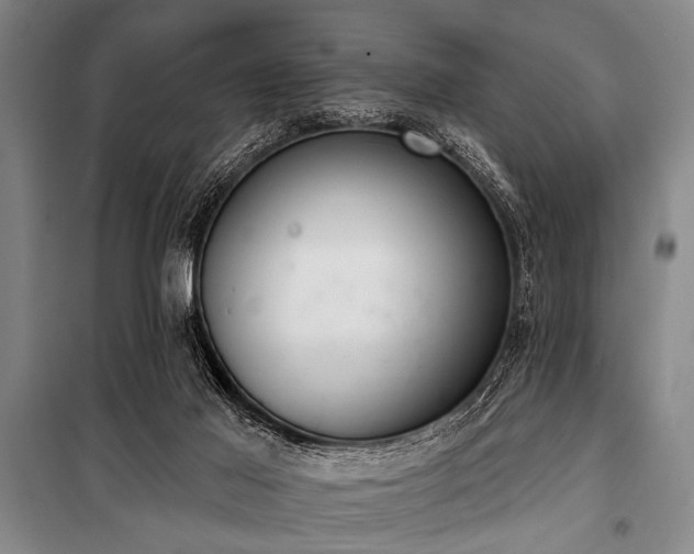 X0000101200021200806271401