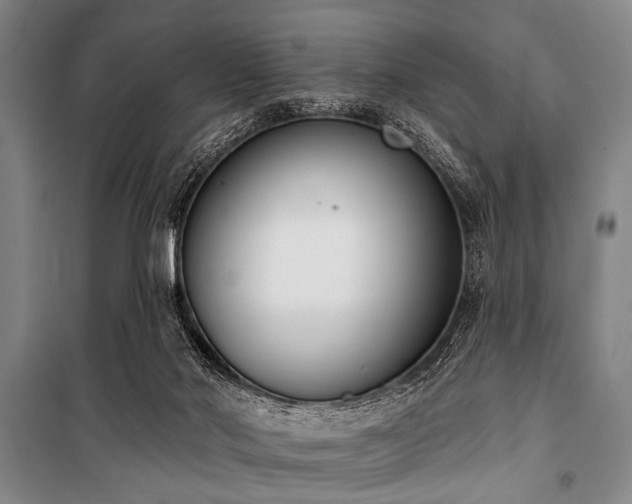 X0000101200022200806271401