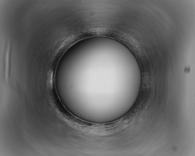 X0000101200024200806271401
