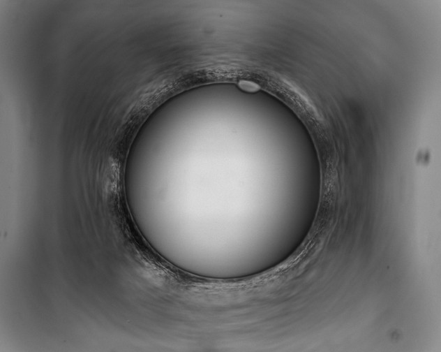 X0000101200025200806271401