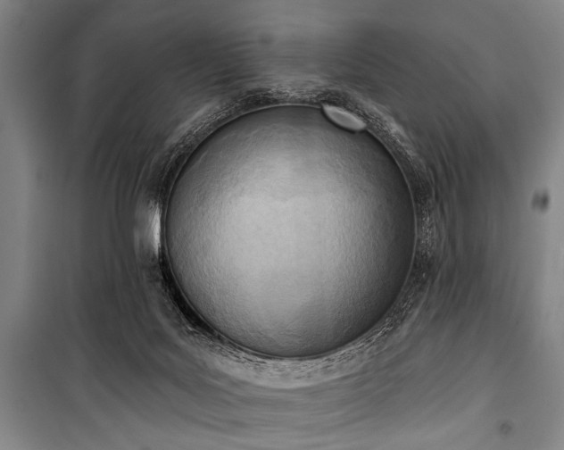 X0000101200027200806271401