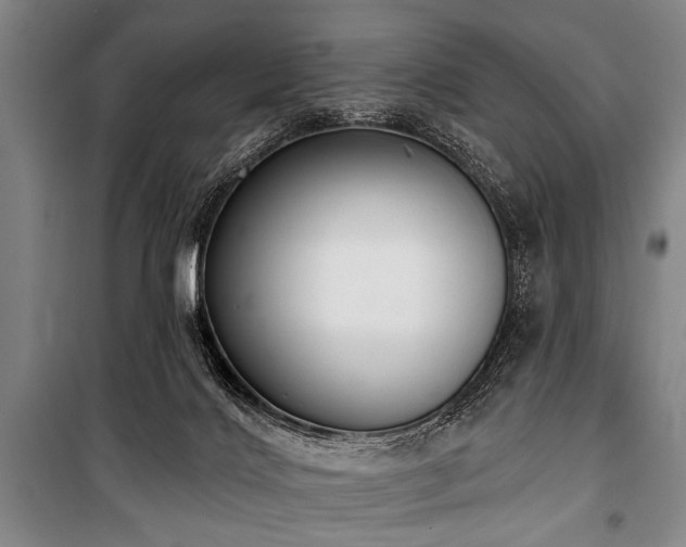 X0000101200028200806271401