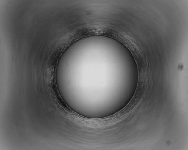 X0000101200030200806271401