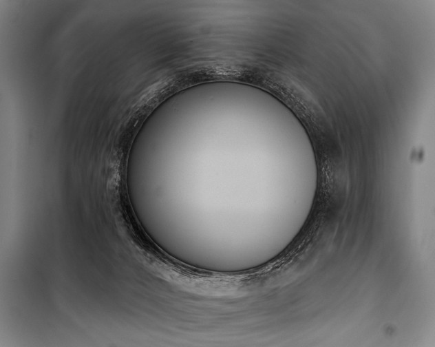 X0000101200032200806271401