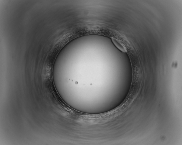 X0000101200033200806271401