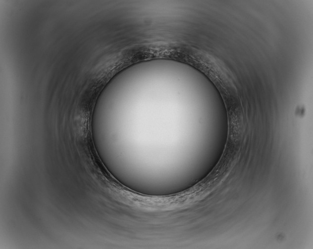 X0000101200034200806271401