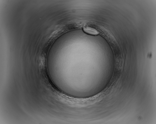 X0000101200035200806271401