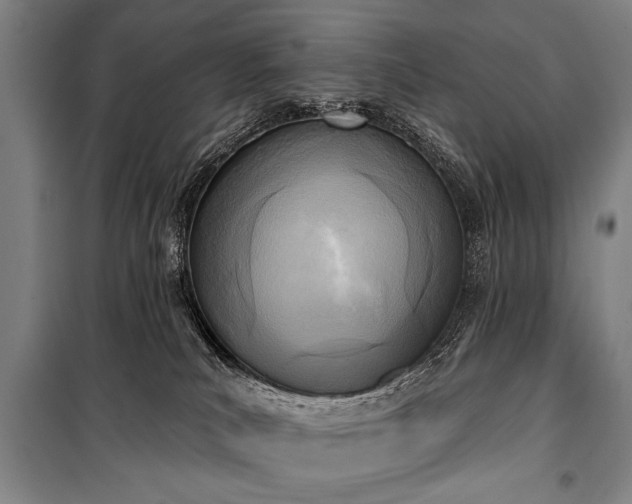 X0000101200039200806271401