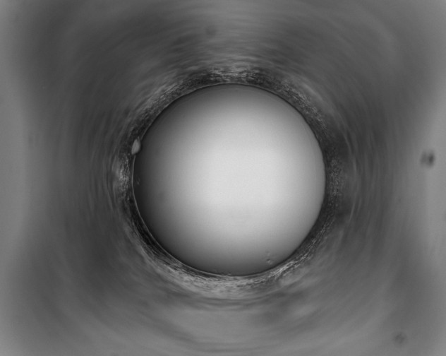 X0000101200040200806271401