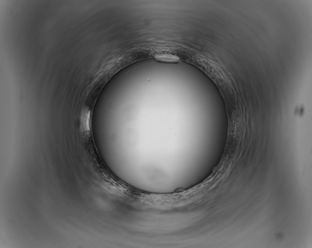 X0000101200041200806271401