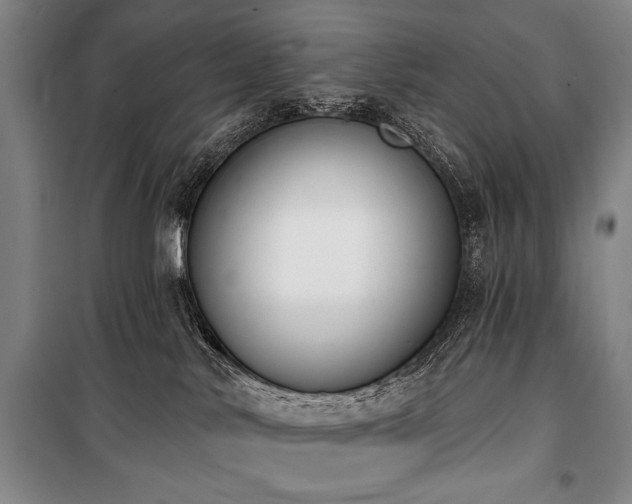 X0000101200042200806271401