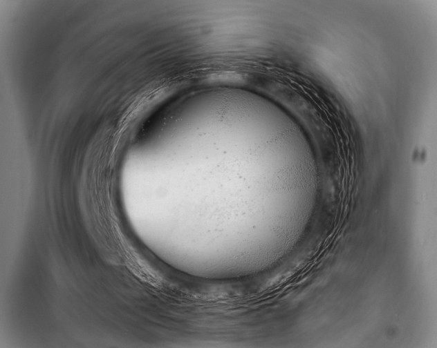 X0000101200049200806271400