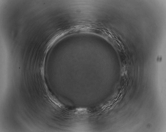 X0000101200052200806271400