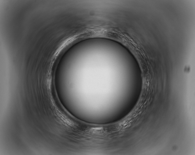 X0000101200054200806271400