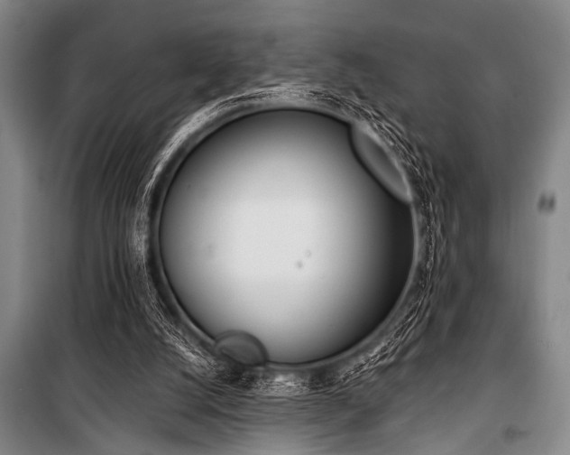 X0000101200056200806271400