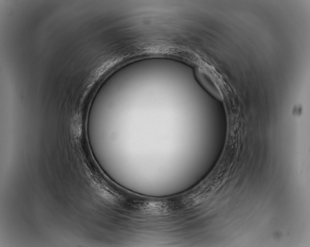 X0000101200060200806271400