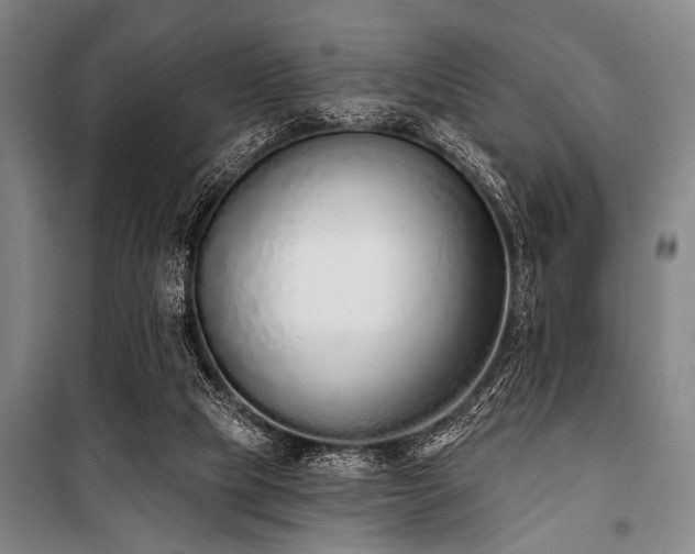 X0000101200065200806271400