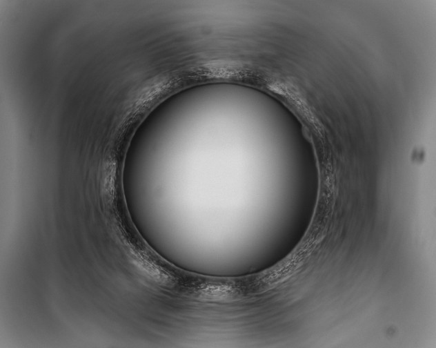 X0000101200066200806271400